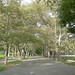 Mary Mott Photo 7