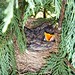 Robin Rutherford Photo 14
