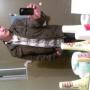 Cesar Diaz Photo 14