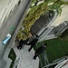 Susan Venezia Photo 14