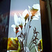 Daniel Brown Photo 12
