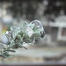 Heather Storm Photo 27