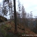 Deborah Mccoy Photo 22
