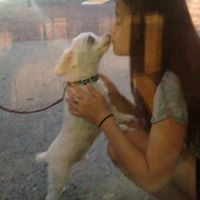 Christine Fong Photo 25