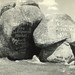Mary Bugg Photo 12