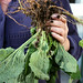 Debbie Root Photo 16