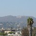 Beverly Cantor Photo 8