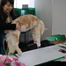 Edward Coon Photo 6