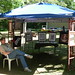 Terry Seay Photo 19
