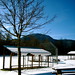 Stacey Welch Photo 17