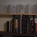 Jesse Schiele Photo 5