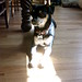 Theodore Baxter Photo 12