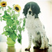 Annette Flowers Photo 16