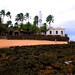 Mario Forte Photo 17