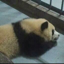 William Xing Photo 5