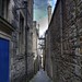 Mary Goings Photo 8