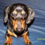 Brian Kerns Photo 24