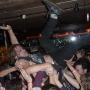 Jason Storm Photo 29