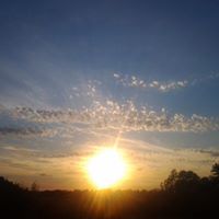 John Bruening Photo 7