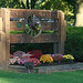 Douglas Ervin Photo 6