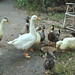 Clyde Anders Photo 9