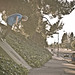 John Kight Photo 13