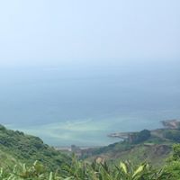 Frances Lu Photo 17