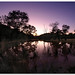 Dawn Click Photo 10