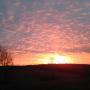 Lorie Robinson Photo 18