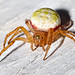 Penny Weaver Photo 23