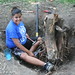 Mary Seales Photo 7