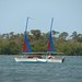 Terry Clements Photo 16