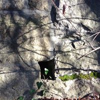 Nancy Forst Photo 16