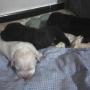 Lois Perez Photo 14