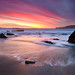 Linda Singh Photo 35