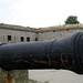 Adam Garrison Photo 18