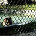 Richard Parker Photo 7
