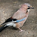 Jay Heath Photo 14