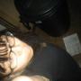 Kathy Cortes Photo 15