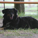 Sandra Shepherd Photo 19
