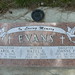 Carol Evan Photo 21