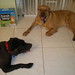 Prince Bailey Photo 13