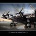 Ron Cole Photo 25
