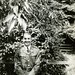 Bob Shumate Photo 10