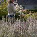 Alison Lamb Photo 11