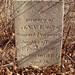 Ann Butler Photo 26