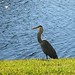Kelly Herron Photo 24