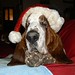 Denise Bodie Photo 17