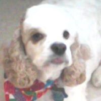 Donna Boyce Photo 5