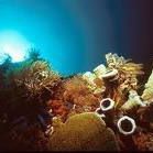 Mark Fuentes Photo 37